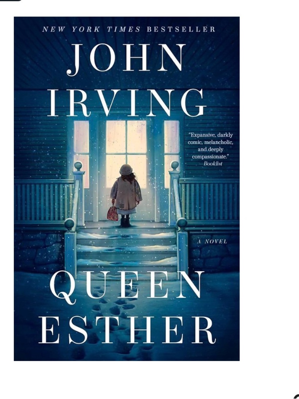 Queen Esther Hardcover novel